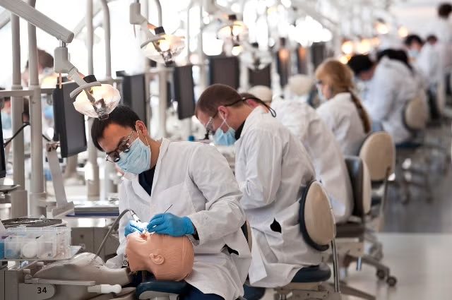 Dental Schools